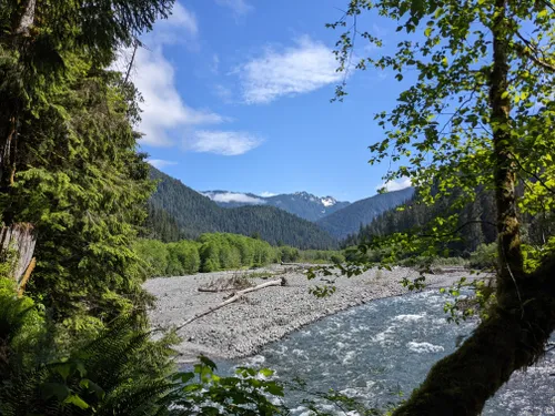 2023 Best Horseback Riding Trails in Quinault | AllTrails