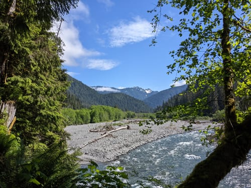 2023 Best Horseback Riding Trails in Olympic National Park | AllTrails
