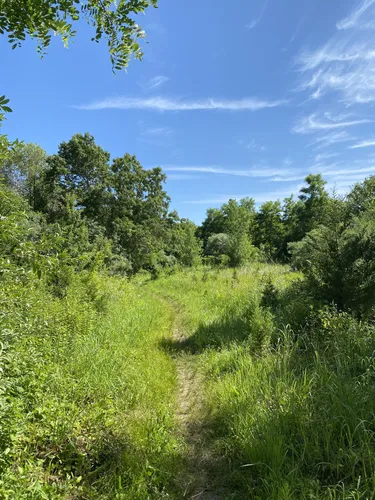 Best Hikes and Trails in Massapequa Preserve | AllTrails
