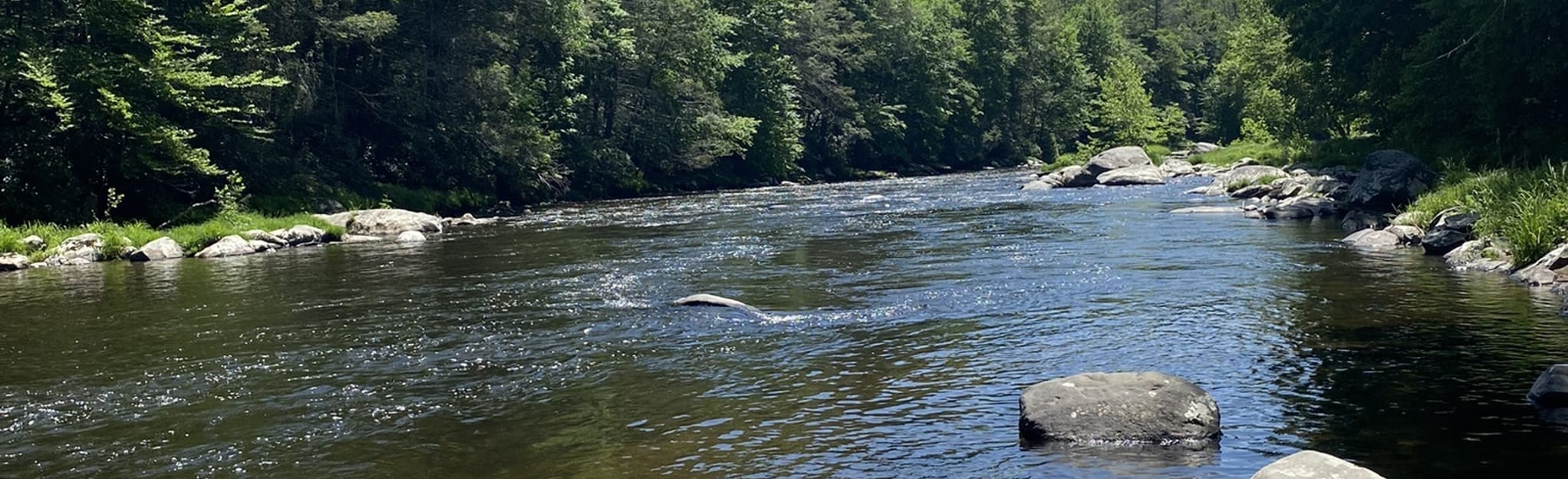 Neversink River via Hiram Jones Road 28 foto's New York AllTrails