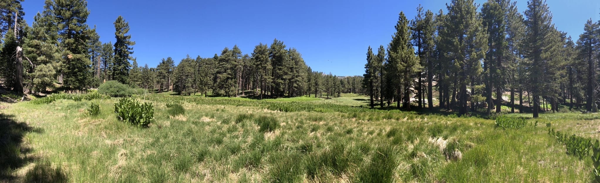 Devils Slide, Willow Creek and Caramba Trial to Skunk Cabbage Meadow