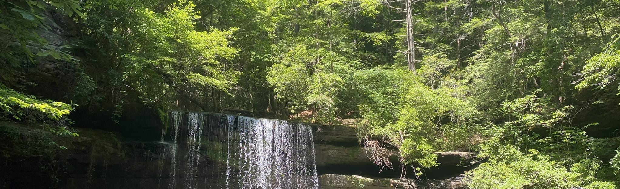 Caney Creek Falls Trail [PRIVATE PROPERTY], Alabama 597 Reviews, Map