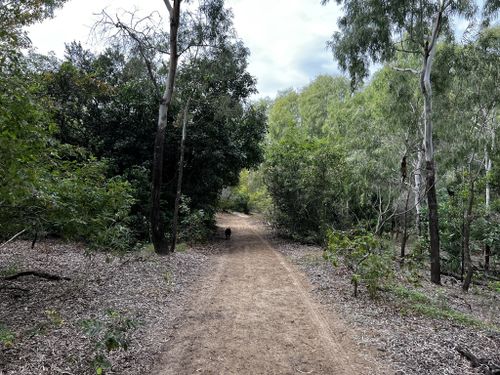 2023 Best 10 Trails and Hikes in Mackay | AllTrails