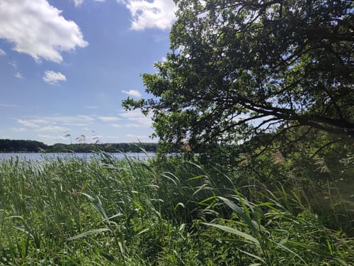 Um den Bistensee