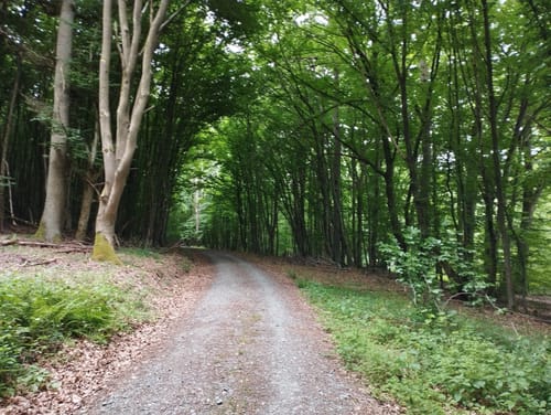 Alteburger Marktweg