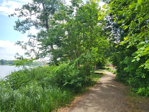 Rundwanderweg Großer Müllroser See