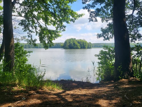 Rundwanderweg Großer Müllroser See