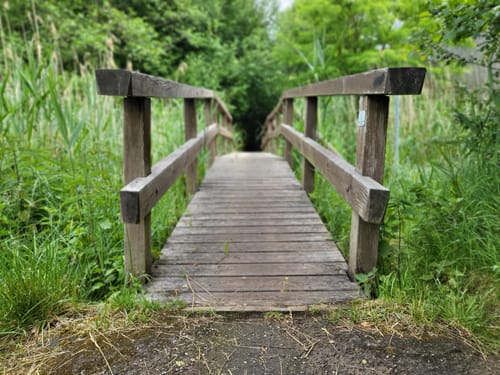 Rundwanderweg Großer Müllroser See