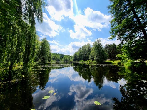Rundwanderweg Großer Müllroser See