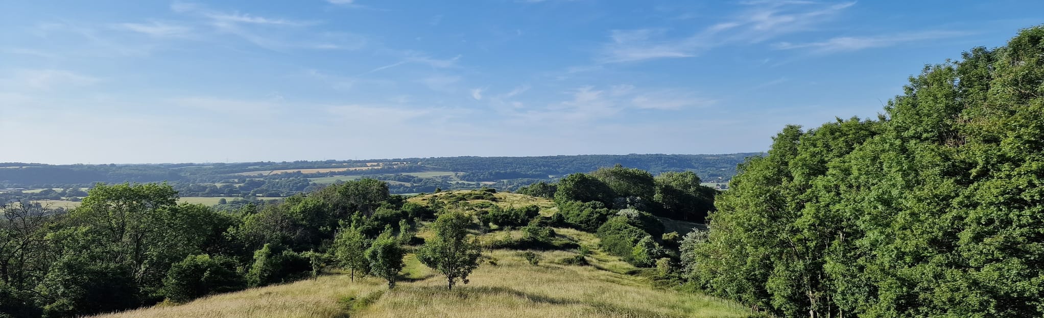 Queen Elizabeth Country Park Butser Hill Circular 91 foto's