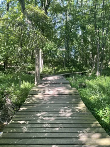 Oak Openings Preserve Metropark