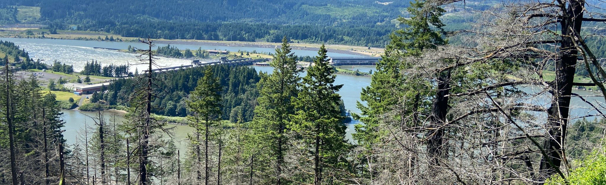 AllTrails 400 Trail John B Yeon to Cascade Locks 18 Reviews