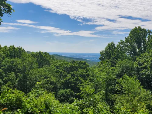 Dogs - Catoctin Mountain Park - GoodDogTrips