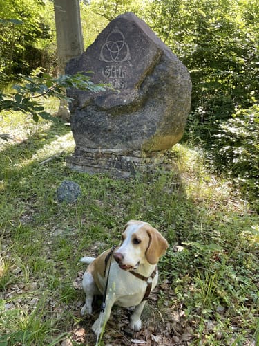 Meseberg 3-Seen-Runde