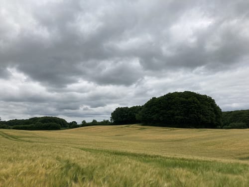 Zum Fresensee