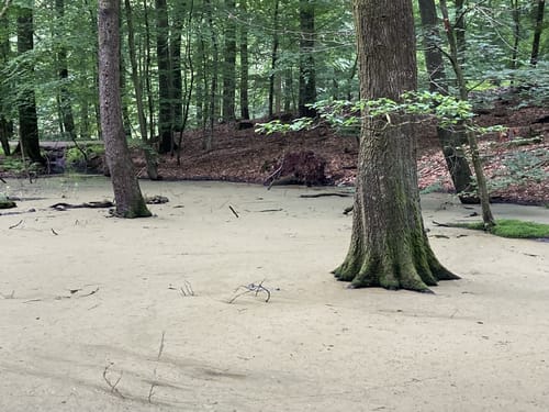 Zum Fresensee