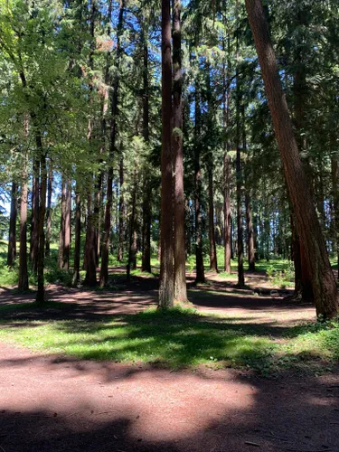 Best Hikes and Trails in Pier Park | AllTrails