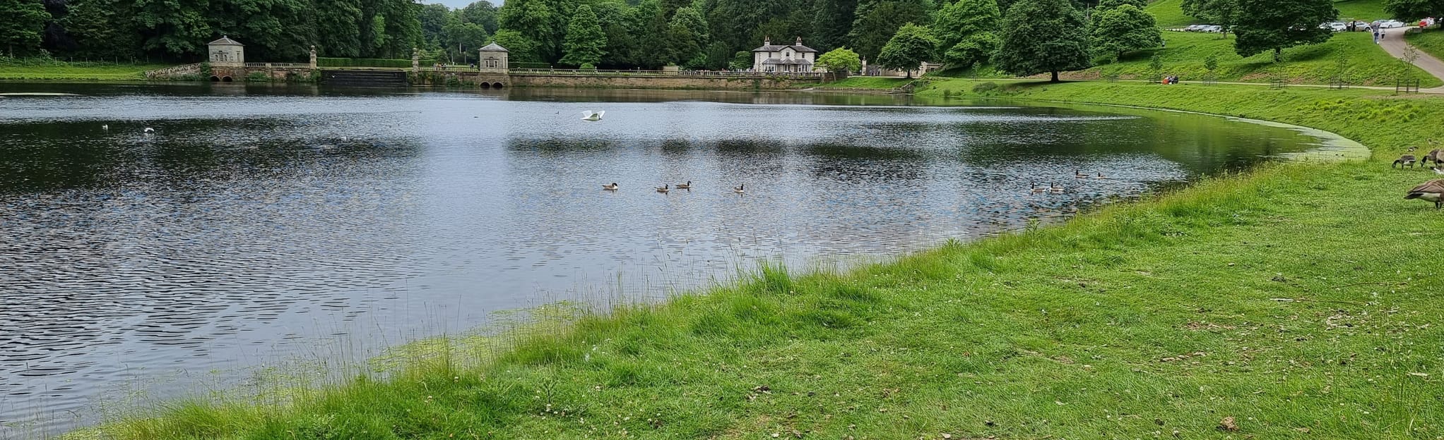 Mickley, Kirkby Malzeard, Aldfield and Azerley Circular, 342 Fotos