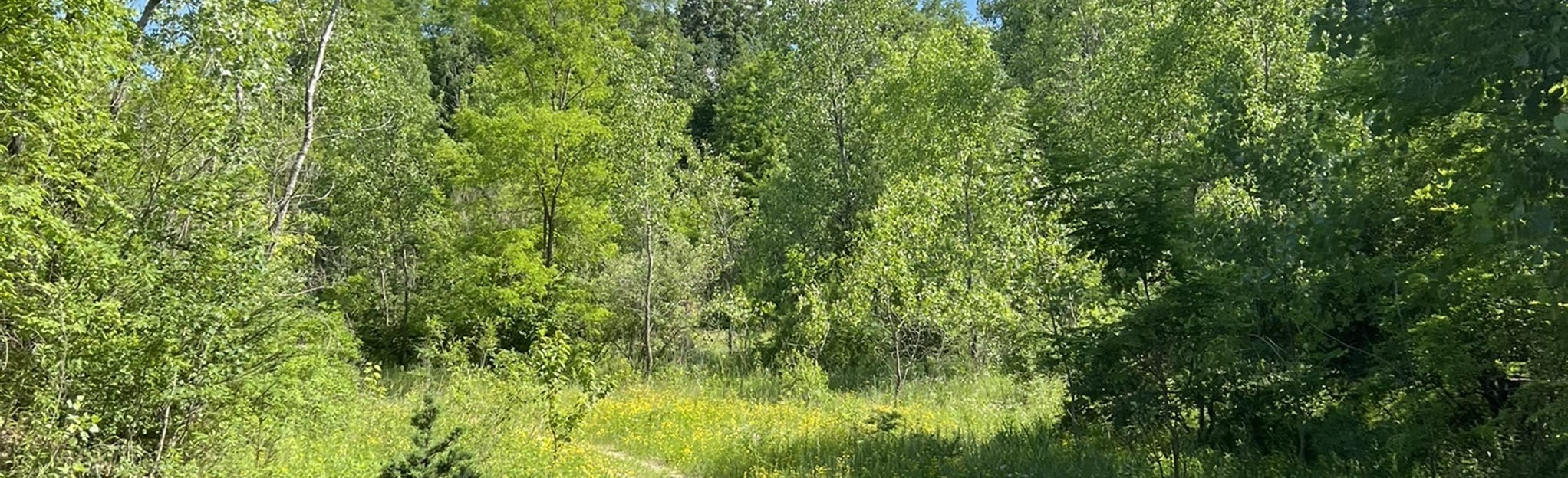 La Crosse Bufflands, The Rim and Old Quarry Road to Lenox Point