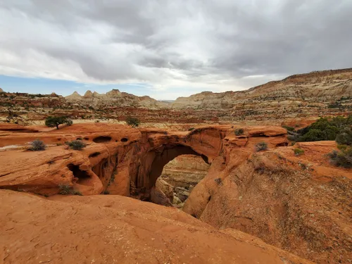 Alltrails 2025 capitol reef