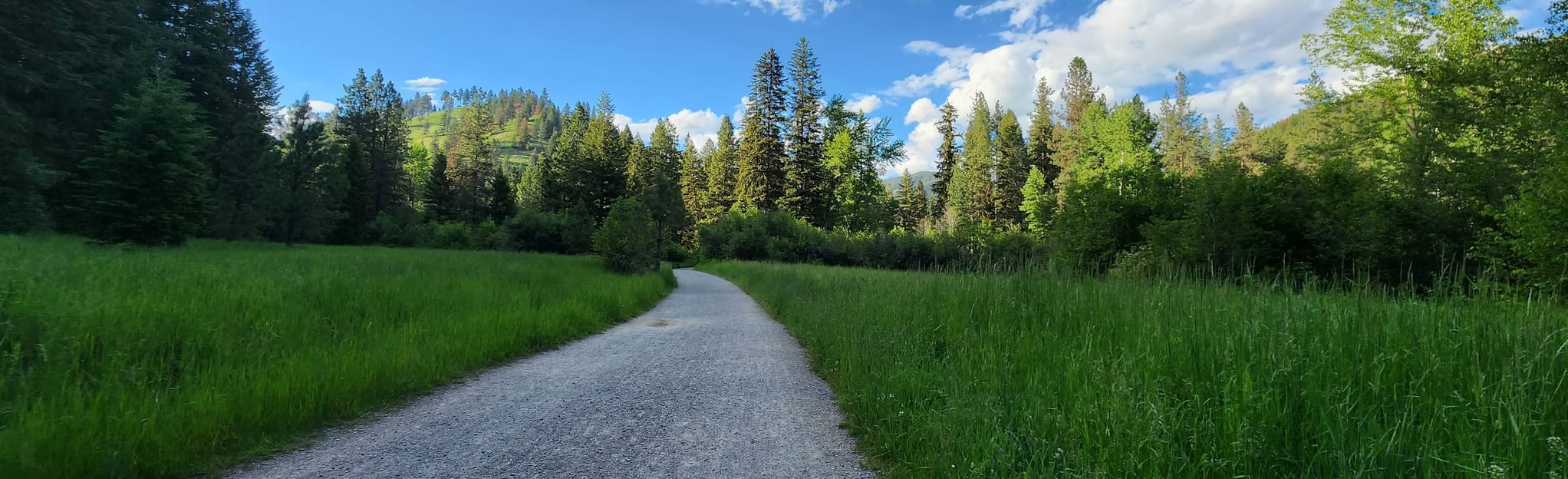 Rattlesnake Trail 286 Reviews, Map Montana AllTrails
