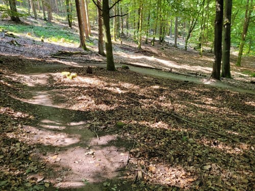 Don Bosco-Trail  (Flowtrail  Bad Orb Nr. 14b)