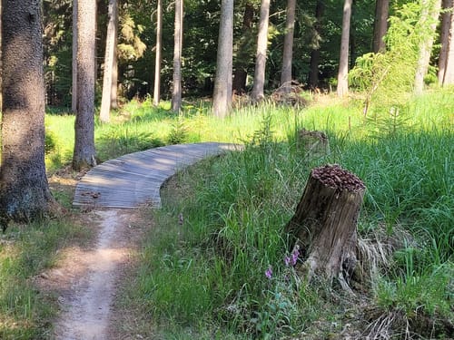 Don Bosco-Trail  (Flowtrail  Bad Orb Nr. 14b)