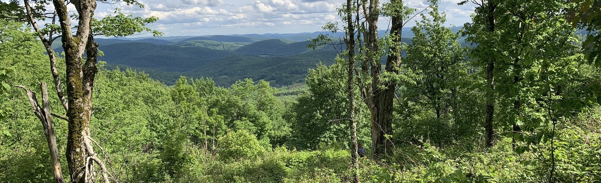 Bramley Mountain Trail 530 Reviews, Map New York AllTrails