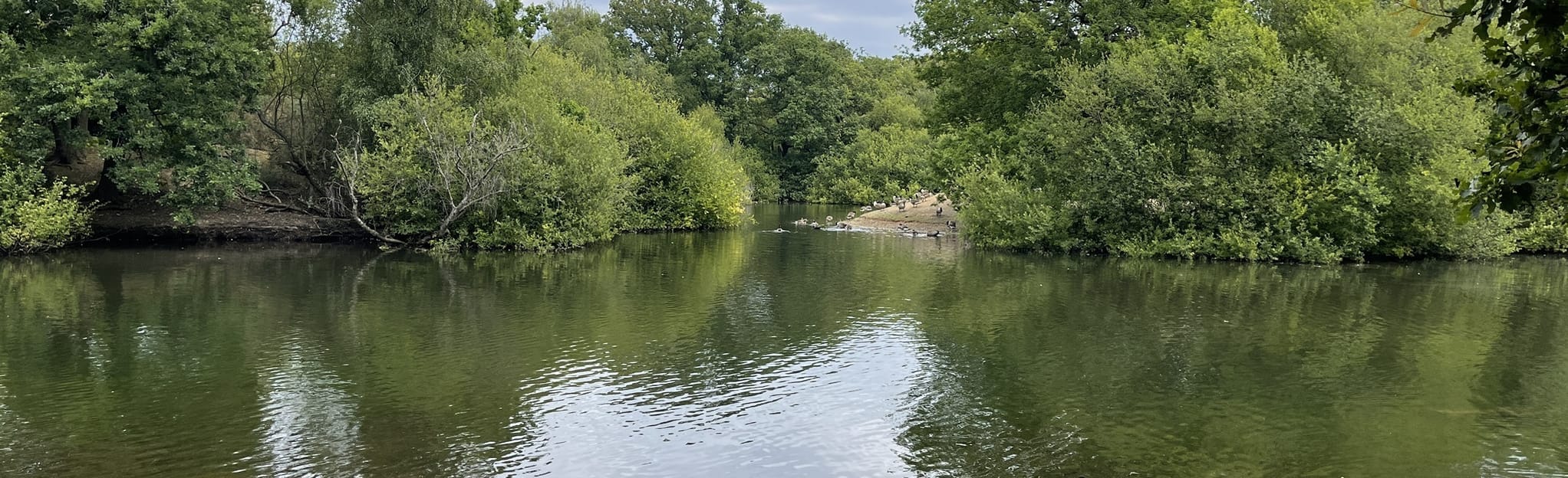 Leyton Flats and Hollow Pond, London, England 53 Reviews, Map AllTrails