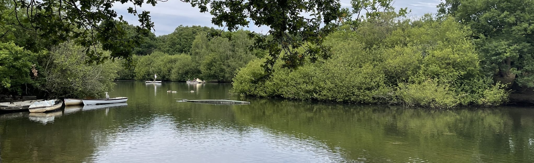 Gilbert's Slade and Leyton Flats Circular, London, England 10 Reviews