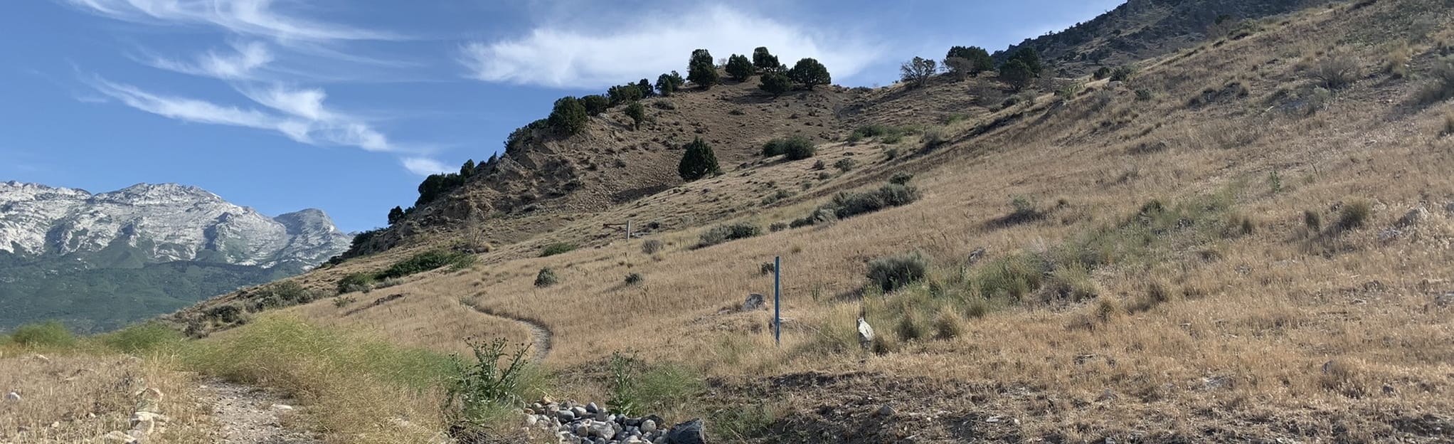 lone peak trail runners