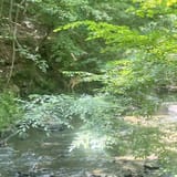 Peachtree City Cart Path Georgia - EyJidWNrZXQiOiJhc3NldHMuYWxsdHJhaWxzLmNvbSIsImtleSI6InVwbG9hZHMvcGhvdG8vaW1hZ2UvNDg2NTYxMDMvMDdjODIwYzQyNGY5YjQ1Y2U0YTA1OTNjNGRhZjg1NTYuanBnIiwiZWRpdHMiOnsidG9Gb3JtYXQiOiJqcGVnIiwicmVzaXplIjp7IndpZHRoIjoxNjAsImhlaWdodCI6MTYwLCJmaXQiOiJjb3ZlciJ9LCJyb3RhdGUiOm51bGwsImpwZWciOnsidHJlbGxpc1F1YW50aXNhdGlvbiI6dHJ1ZSwib3ZlcnNob290RGVyaW5naW5nIjp0cnVlLCJvcHRpbWlzZVNjYW5zIjp0cnVlLCJxdWFudGlzYXRpb25UYWJsZSI6M319fQ==