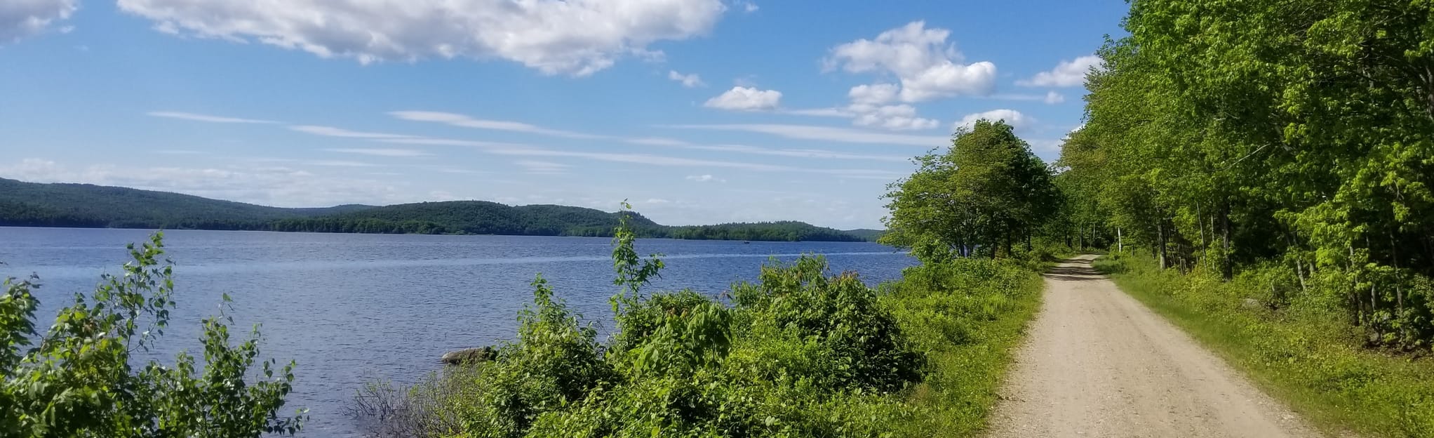 Rabbit Run Rail Bed and Soapstone Hill Loop Massachusetts AllTrails