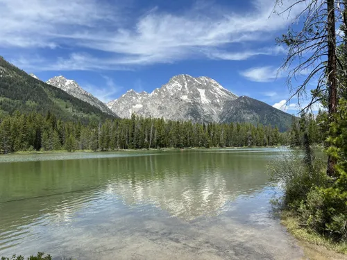 10 Best easy trails in Grand Teton National Park AllTrails