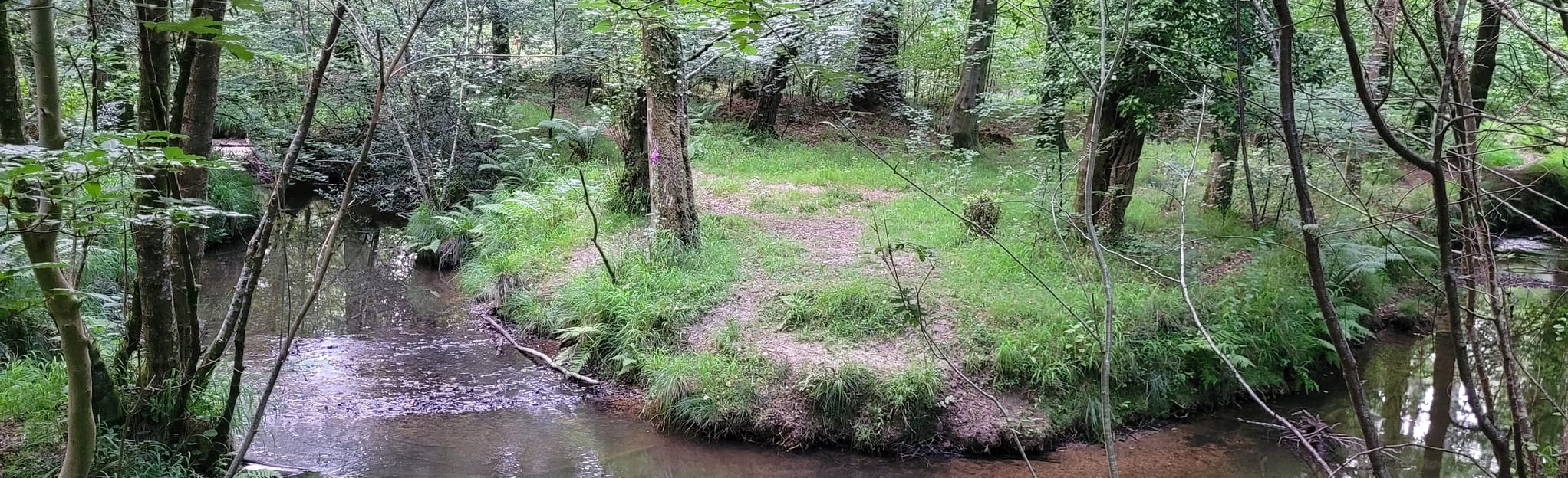 Woodlands Road to Bartley Water Circular, Hampshire, England 50