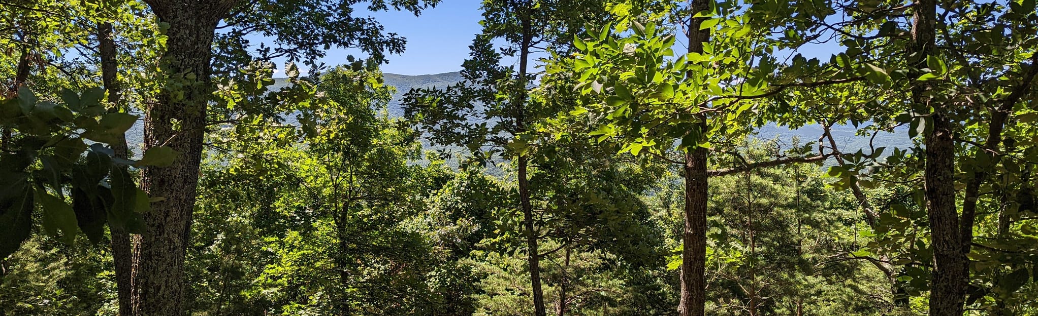 Green Pastures Recreation Area - EyJidWNrZXQiOiJhc3NldHMuYWxsdHJhaWxzLmNvbSIsImtleSI6InVwbG9hZHMvcGhvdG8vaW1hZ2UvNDg2NzQxMjUvMjAyM2U1ZjY2MzNjMWE5Mzc5MThlODg0M2IyZmY3MzMuanBnIiwiZWRpdHMiOnsidG9Gb3JtYXQiOiJqcGVnIiwicmVzaXplIjp7IndpZHRoIjoyMDQ0LCJoZWlnaHQiOjYyNCwiZml0IjoiY292ZXIifSwicm90YXRlIjpudWxsLCJqcGVnIjp7InRyZWxsaXNRdWFudGlzYXRpb24iOnRydWUsIm92ZXJzaG9vdERlcmluZ2luZyI6dHJ1ZSwib3B0aW1pc2VTY2FucyI6dHJ1ZSwicXVhbnRpc2F0aW9uVGFibGUiOjN9fX0=