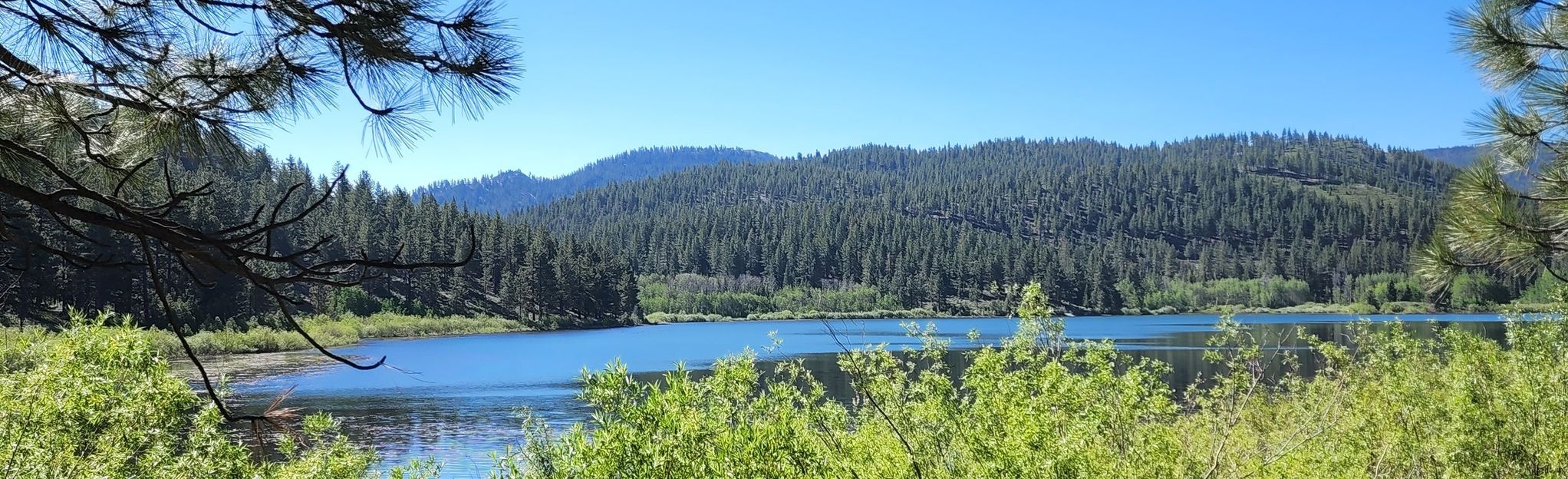 Spooner Lake Trail 1,535 Reviews, Map Nevada AllTrails