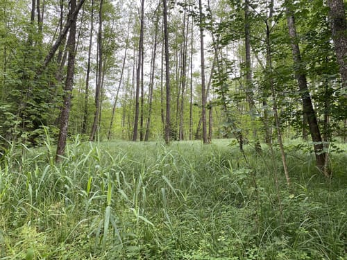3-Seen-Rundwanderung bei Stephanskirchen