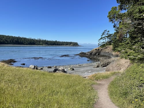 are dogs allowed at deception pass state park