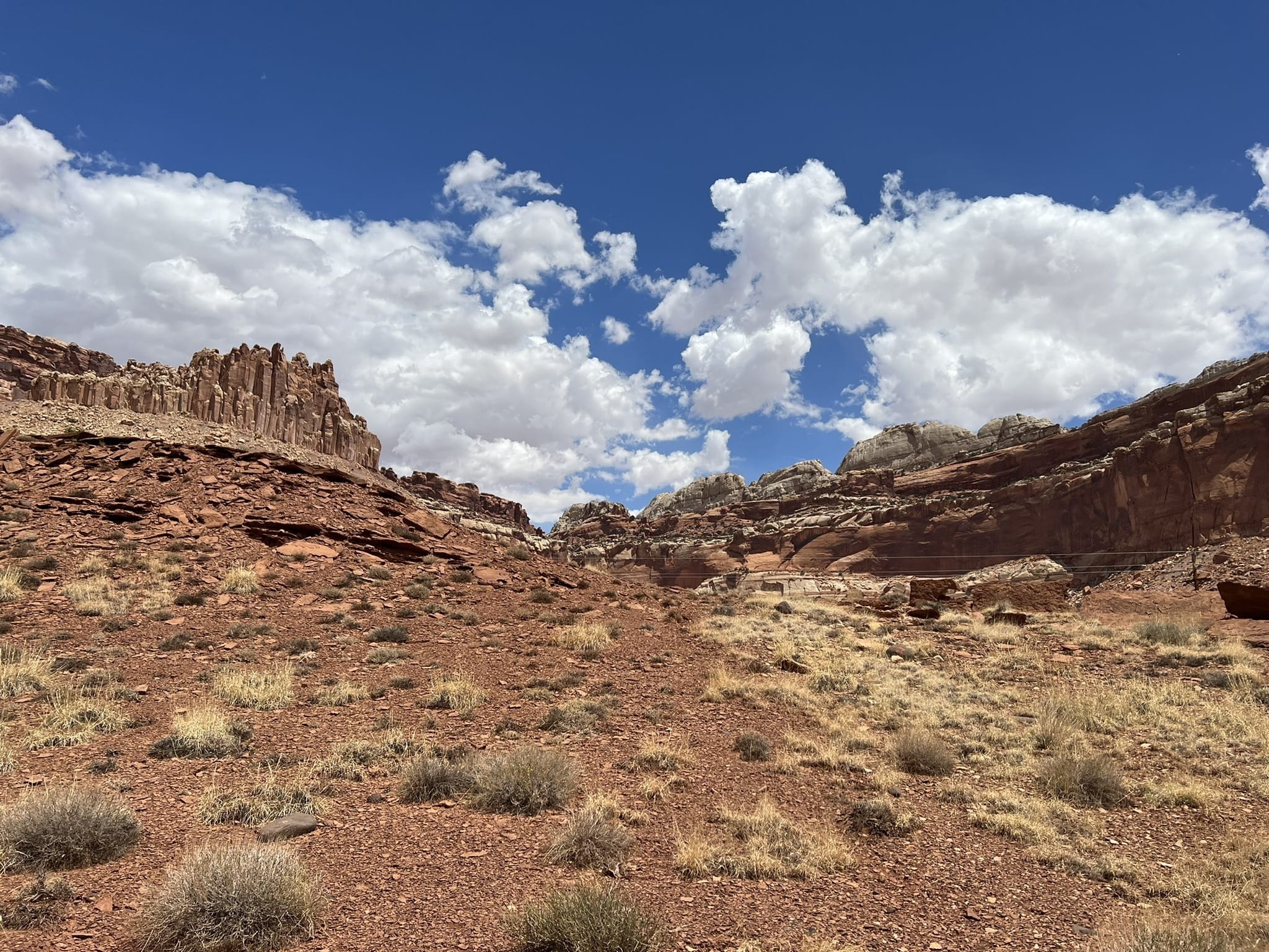 Alltrails 2024 capitol reef