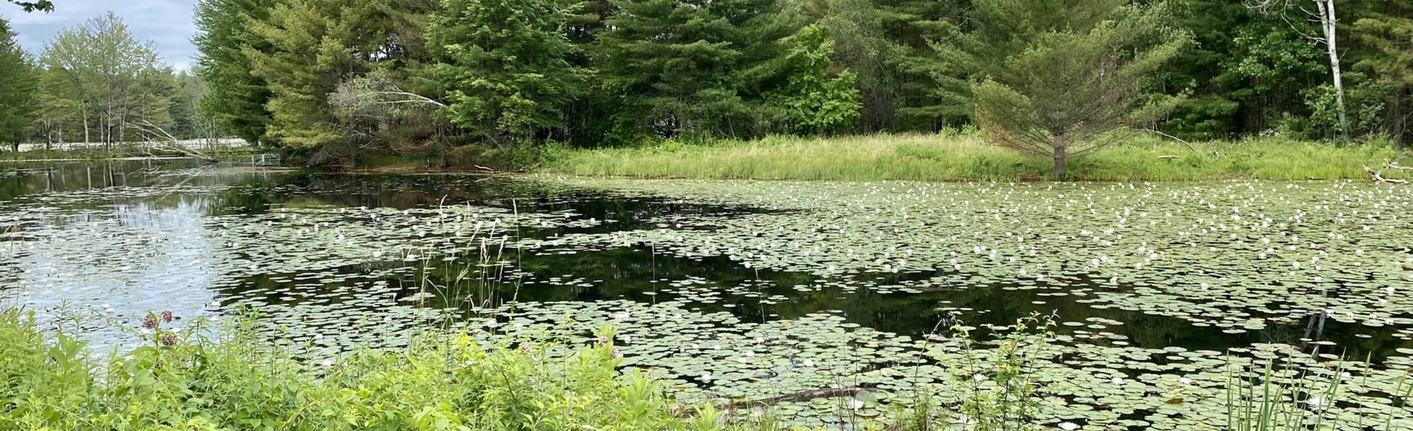 Main Street and Tully Woods Trail Loop, 114 Fotos Massachusetts