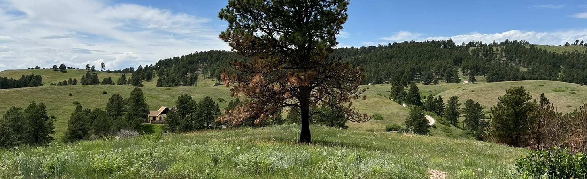 Prairie Vista Loop 202 Reviews, Map South Dakota AllTrails