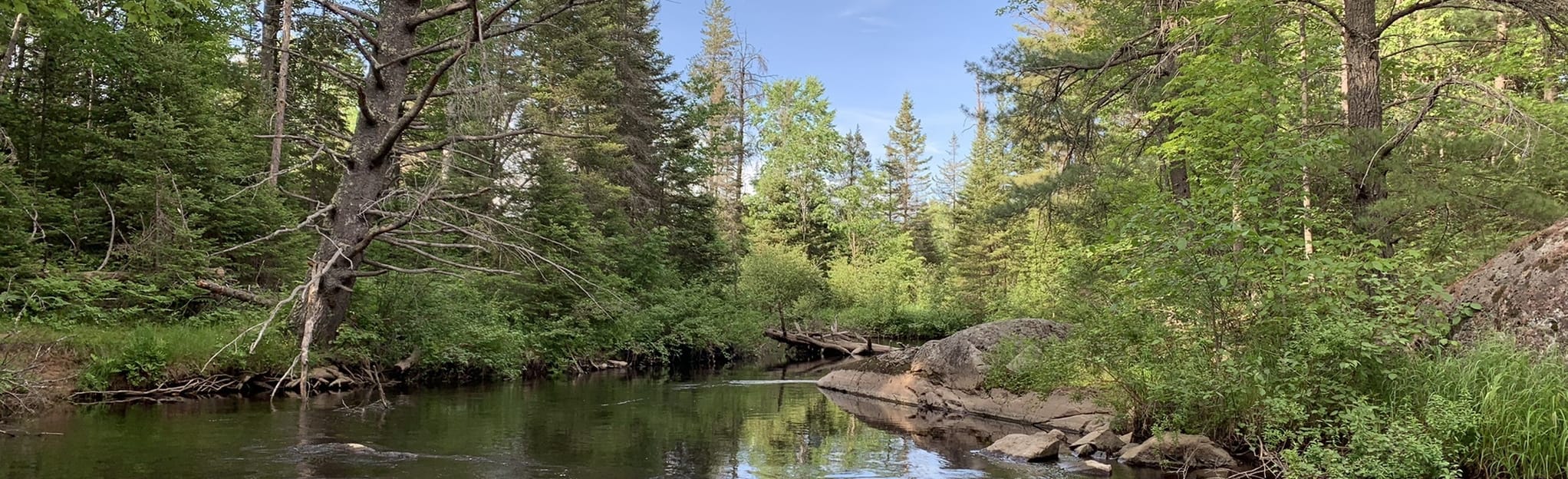 Flat Rock Hiking Trail, Michigan 31 Reviews, Map AllTrails