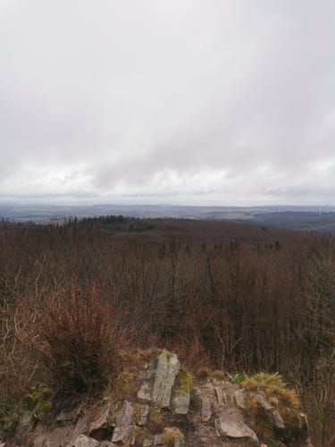 Donnersberg - Auf den Spuren der Kelten