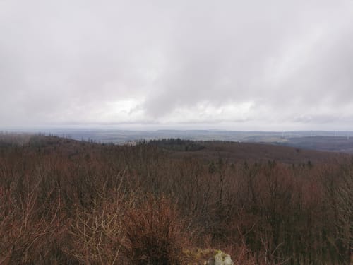 Donnersberg - Auf den Spuren der Kelten