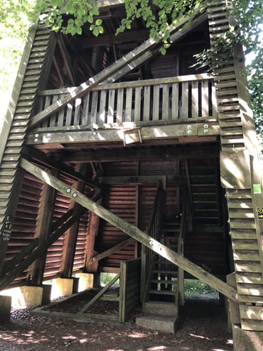 Schwalmtal Rundweg 1 - Zum Aussichtsturm auf der Altenburg
