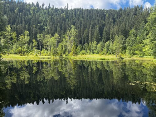 Rundweg: Kniebis - Ellbachsee