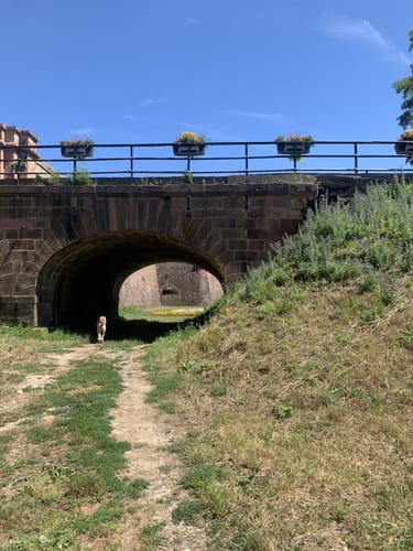 Neuf-Brisach: Ville de Vauban