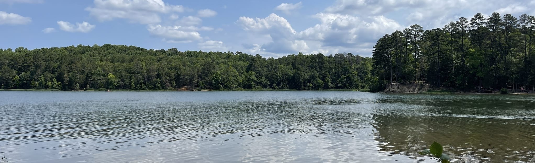 Buzzard Rock, Laura's and Catawba Trail 188 Reviews, Map North