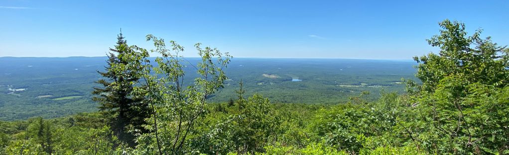 are dogs allowed at mount monadnock